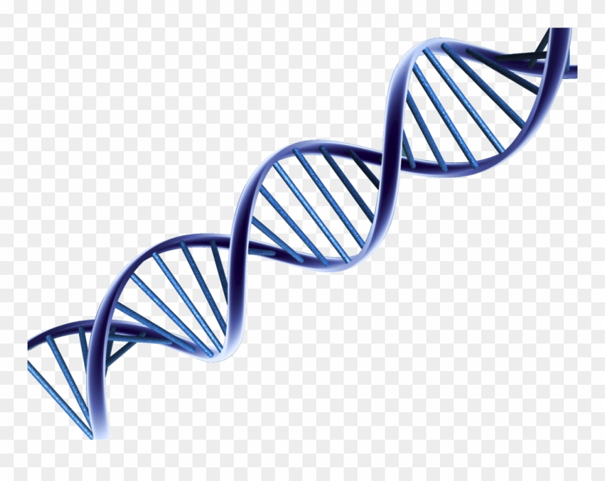 On The Ethics Of Gene Editing - Dna Vector Clipart