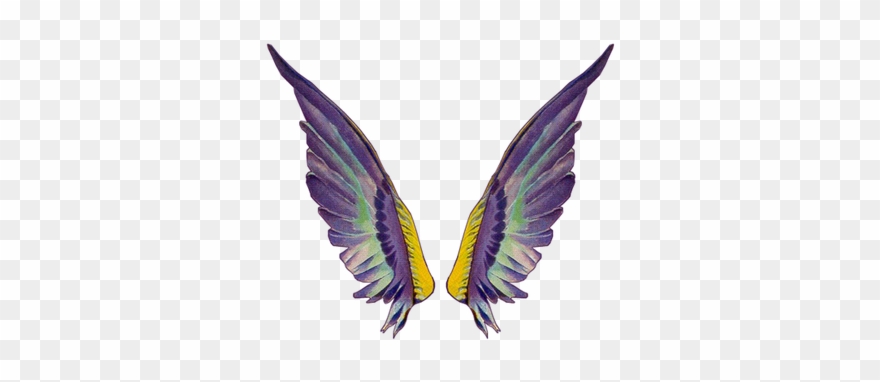Clip Art Related Wings Transprent Png Free - Fairy Wing Gif Transparent