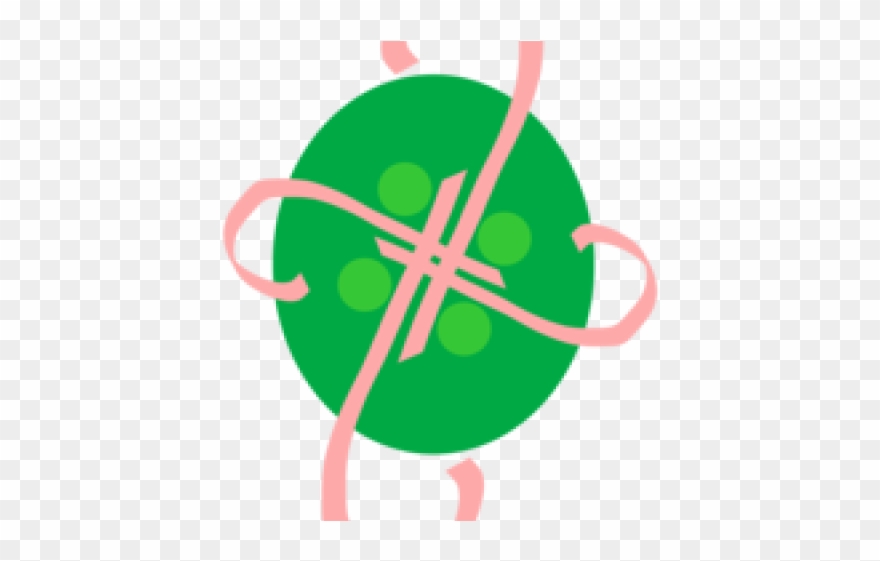 Download Now Button Clipart Artwork - Png Download