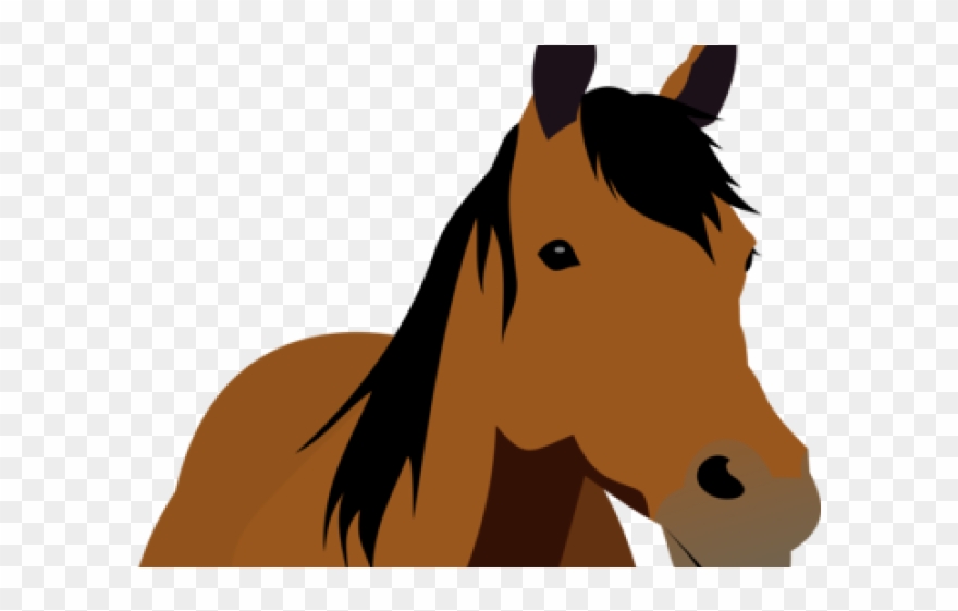 Stallion Clipart Mare - Horse Front View Clipart - Png Download