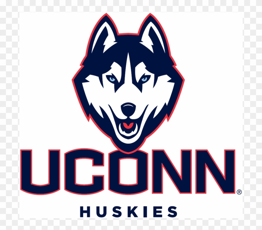 Uconn Huskies Iron Ons Transparent Background - Connecticut Football Clipart