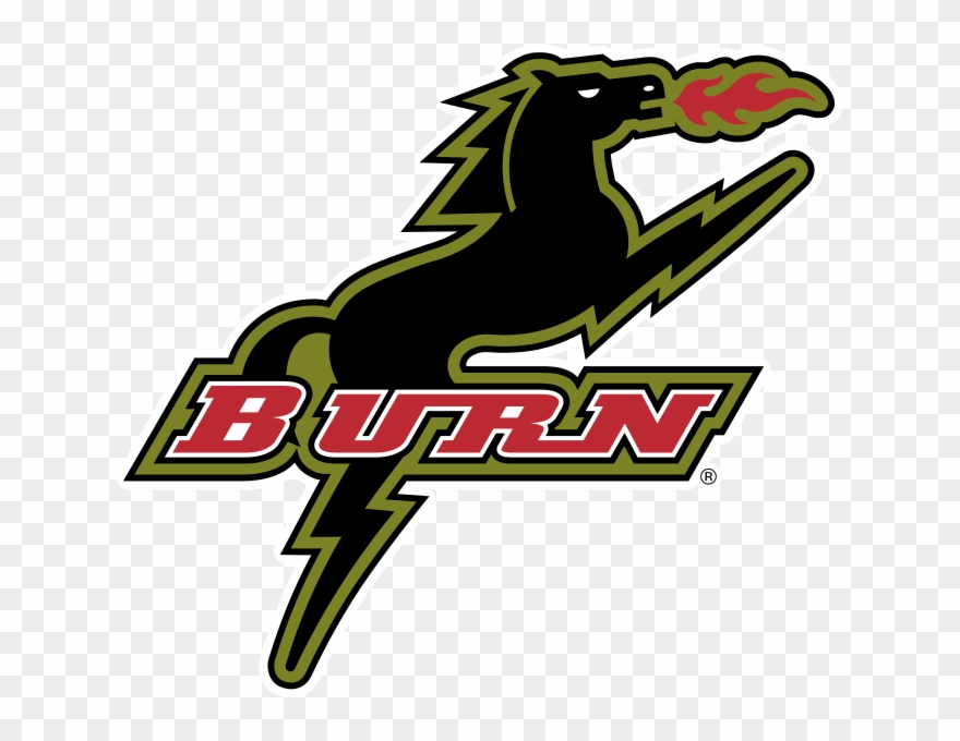 Dallas Burn Logo Clipart