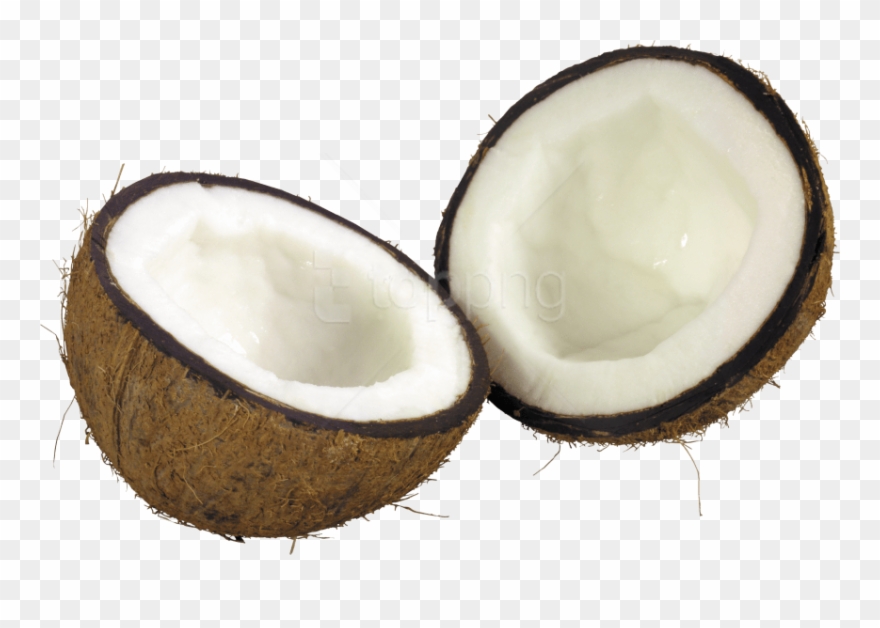 Free Png Download Coconut Png Images Background Png - Coconut Png Clipart