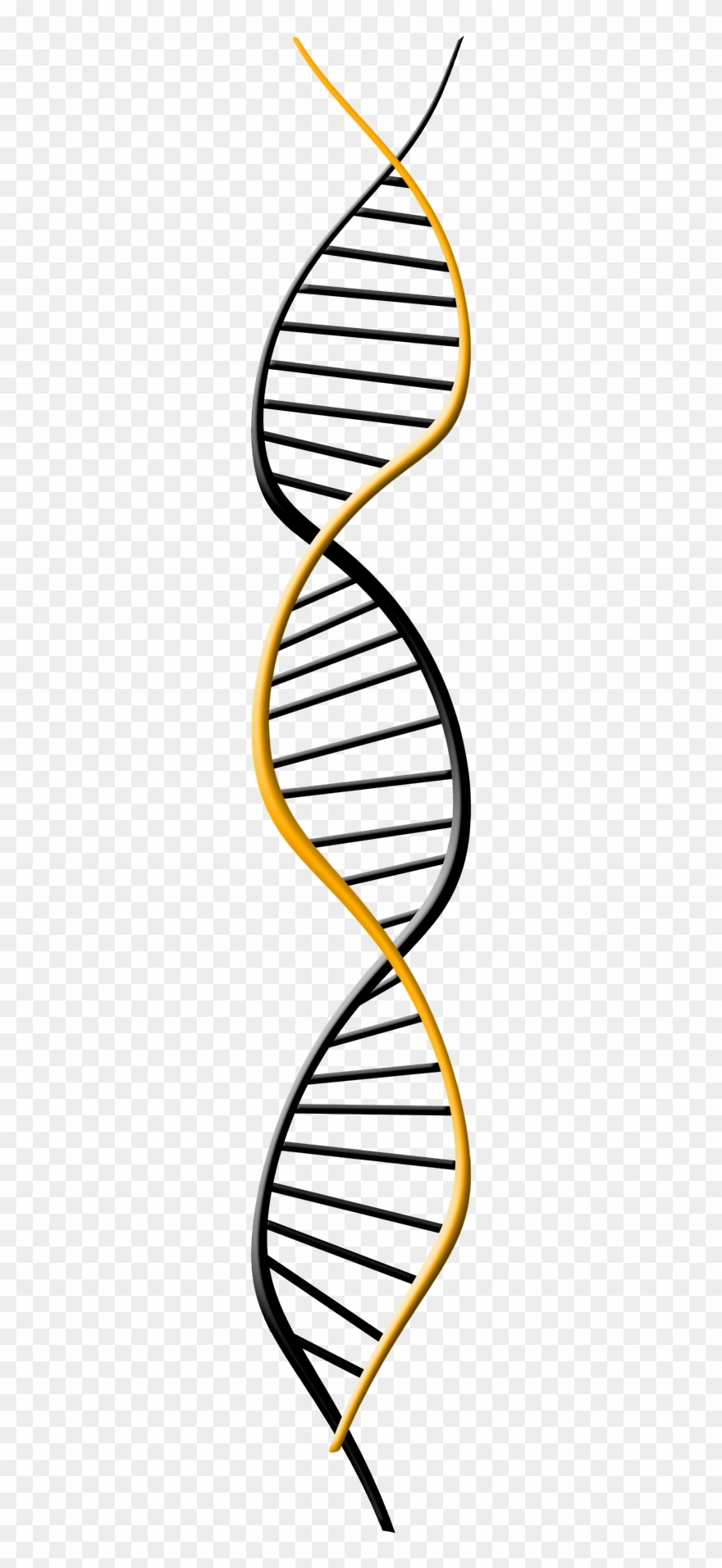 Genetic Symbol Clipart