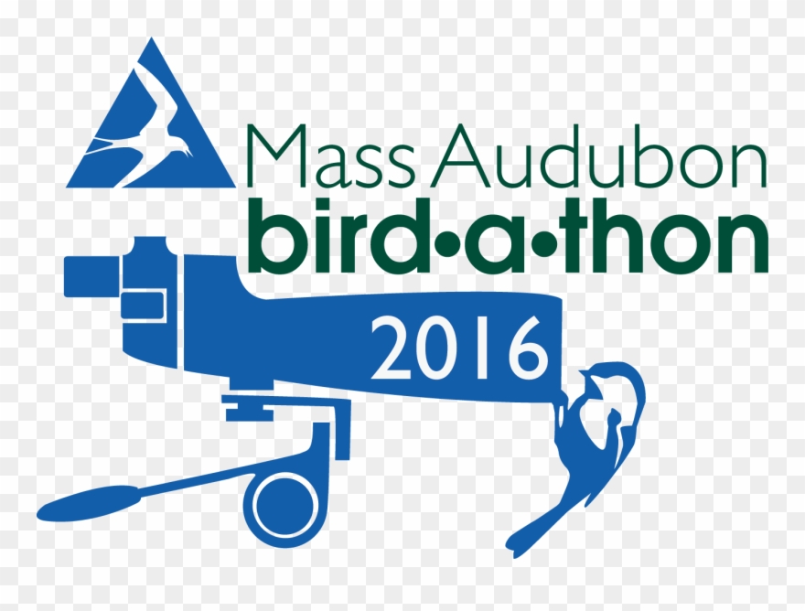 Bird A Thon Resources - Mass Audubon Clipart