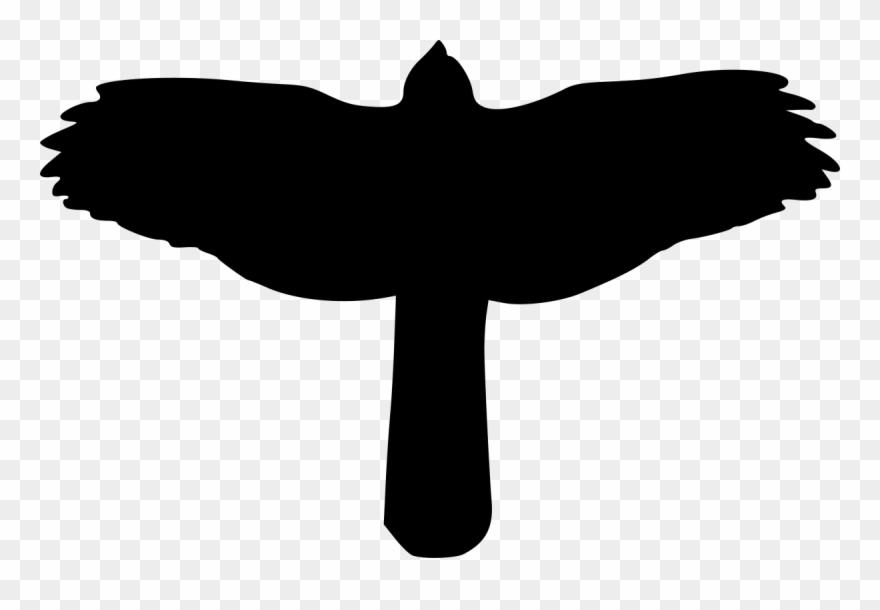 Accipiter Silhouette Bird Clipart