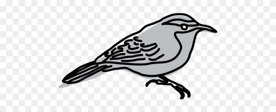Forterra - House Sparrow Clipart