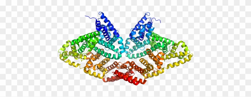 Pdb Model - Illustration Clipart