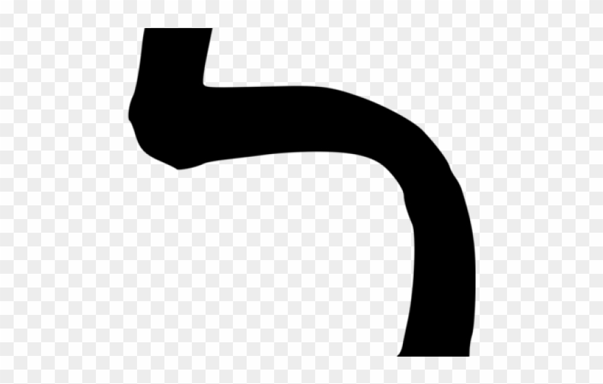 Whit Clipart Location - Pet An Animal - Png Download