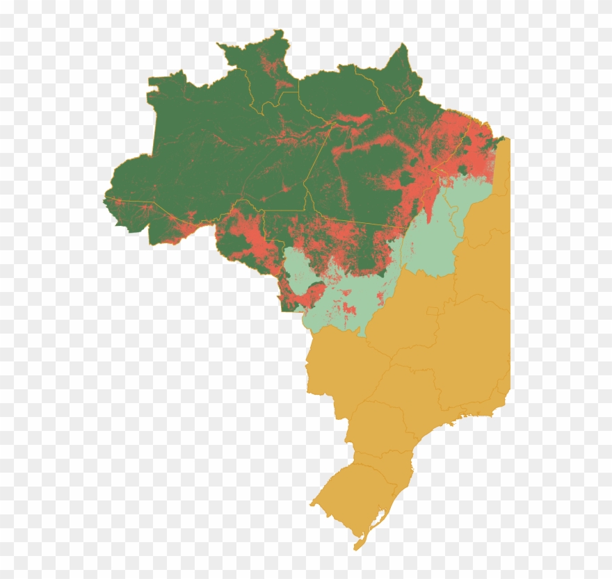 Amazon Biome - Brazil Clipart