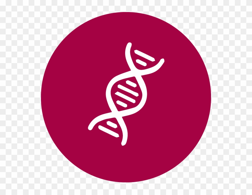 What Are Stem Cells - Stem Cells Symbol Clipart