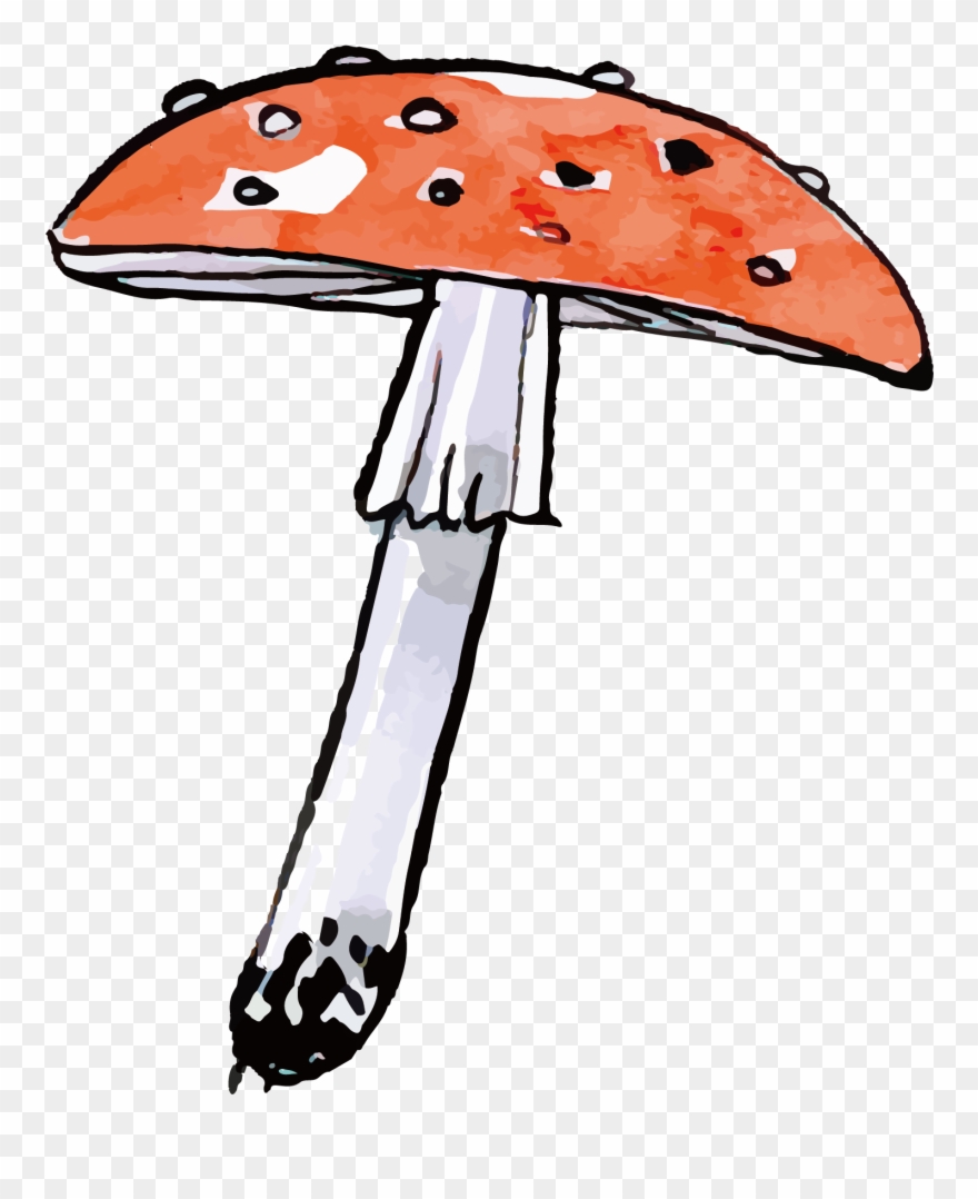 Drawn Mushroom Wild Mushroom - Mushroom Clipart