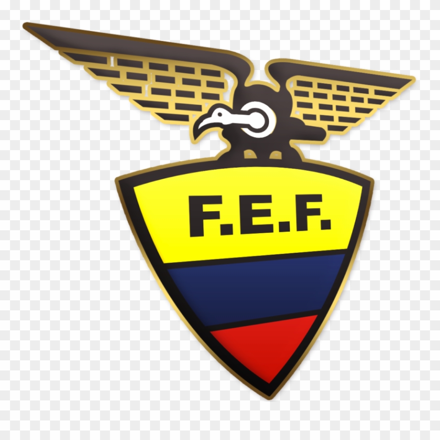 878 X 800 3 - Ecuadorian Football Federation Clipart