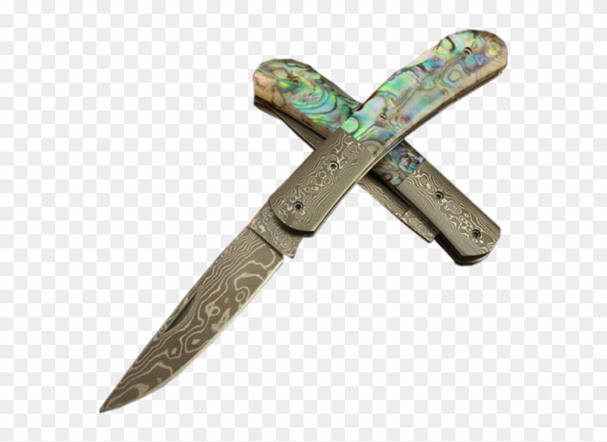 Vector Library Library For Free Download On Mbtskoudsalg Clipart