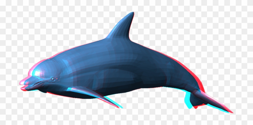 Dolphin Png Pic - Dolphin Png Clipart