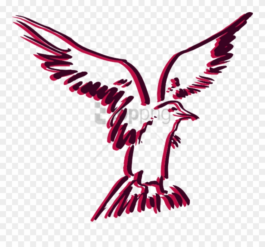 Free Png Download How To Set Use Flying Bird Outline - Clip Art Transparent Png