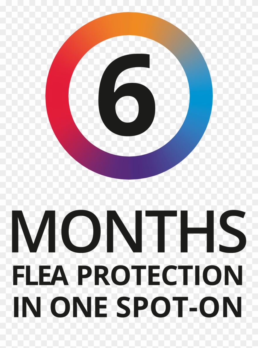 Bravecto 12 Week Flea & Tick Protection - Eurotech Clipart