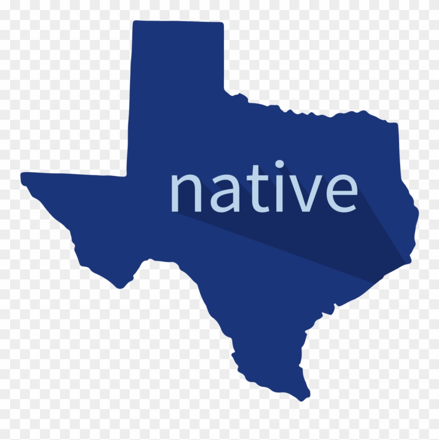About 1vision Solutions - Black State Of Texas Clipart