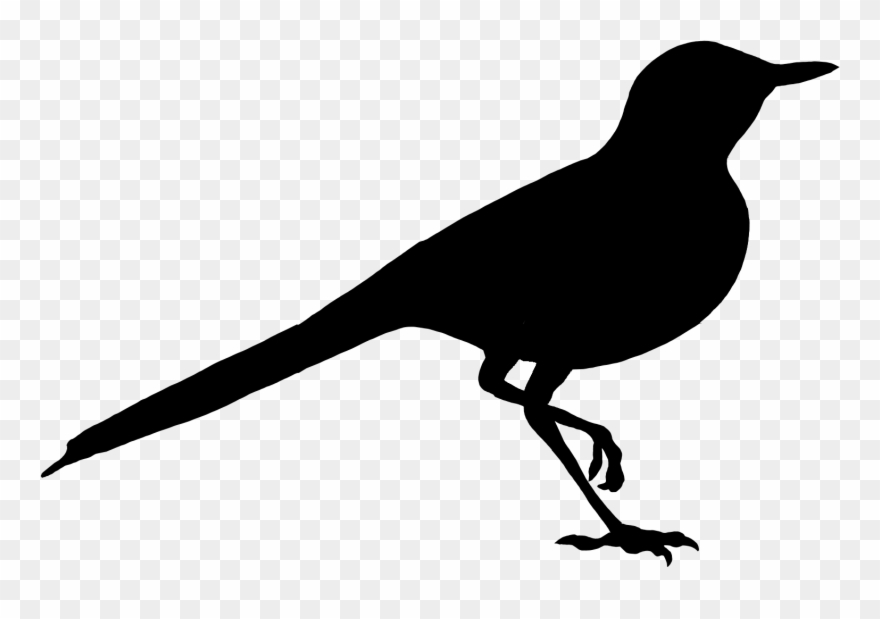 Wagblack Wagblack Wagblack Wagblack - Photograph Clipart