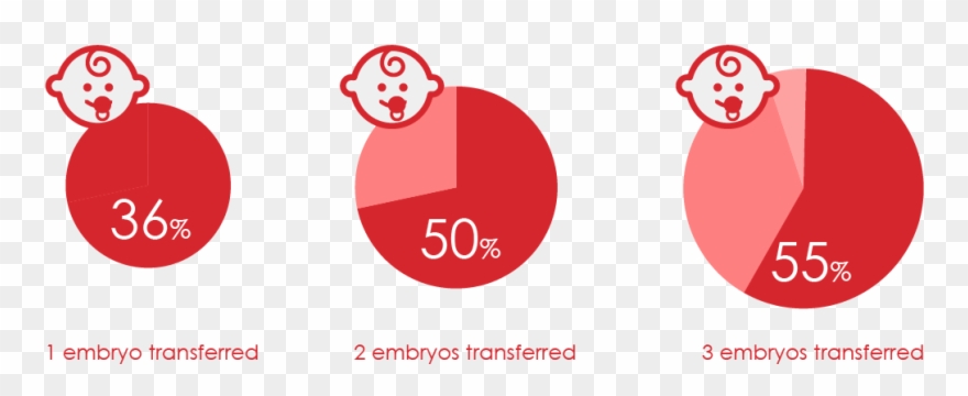 By Number Of Embryos Transferred - Circle Clipart