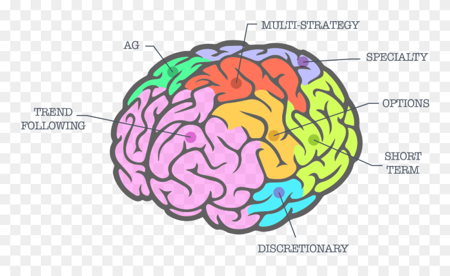 Managed Futures Brain - Brain Icon Transparent Background Clipart