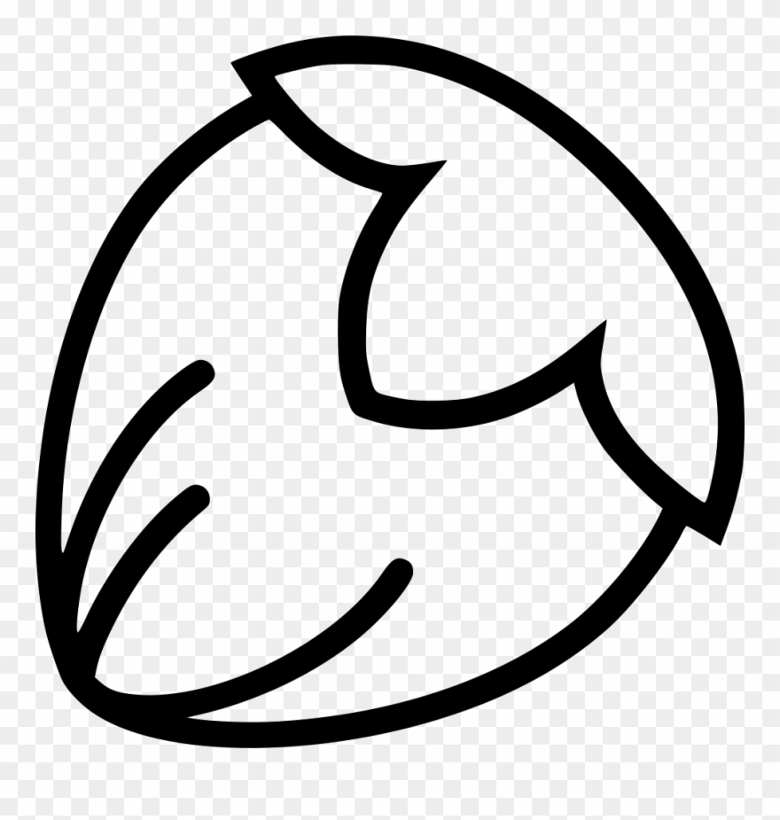 Png File Svg - Hazelnut Icon Png Clipart