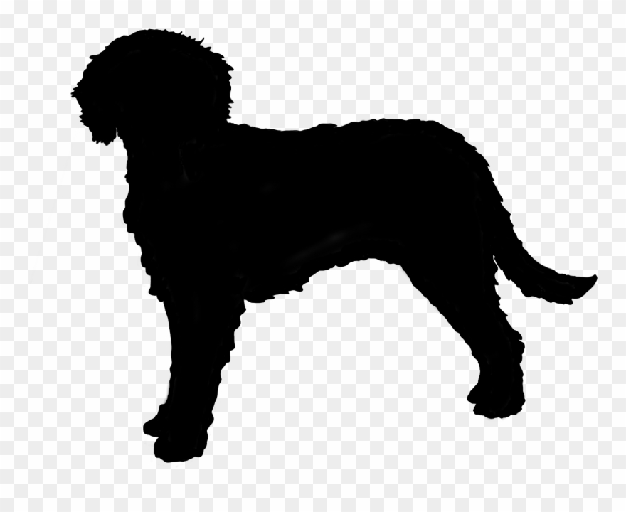 Australian Cobberdog Silhouette - Labradoodle Silhouette Clipart