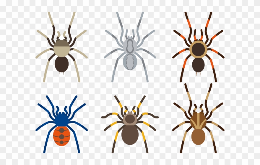 Arachnid Clipart Tarantula - Aranha Viuva Negra Azul - Png Download
