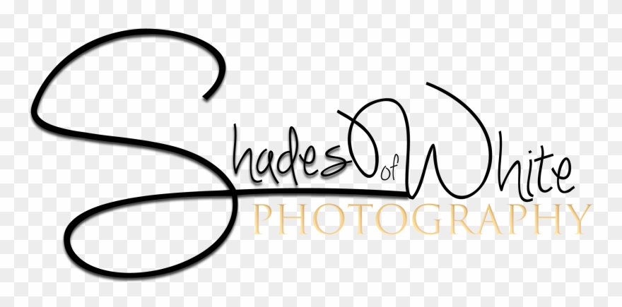 Shades Of White Photography - Calligraphy Clipart