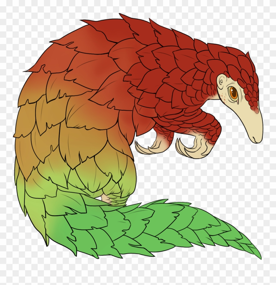 Pangolin Clipart Transparent - Illustration - Png Download
