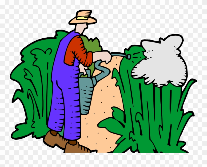 Plant Parts And Functions Clipart