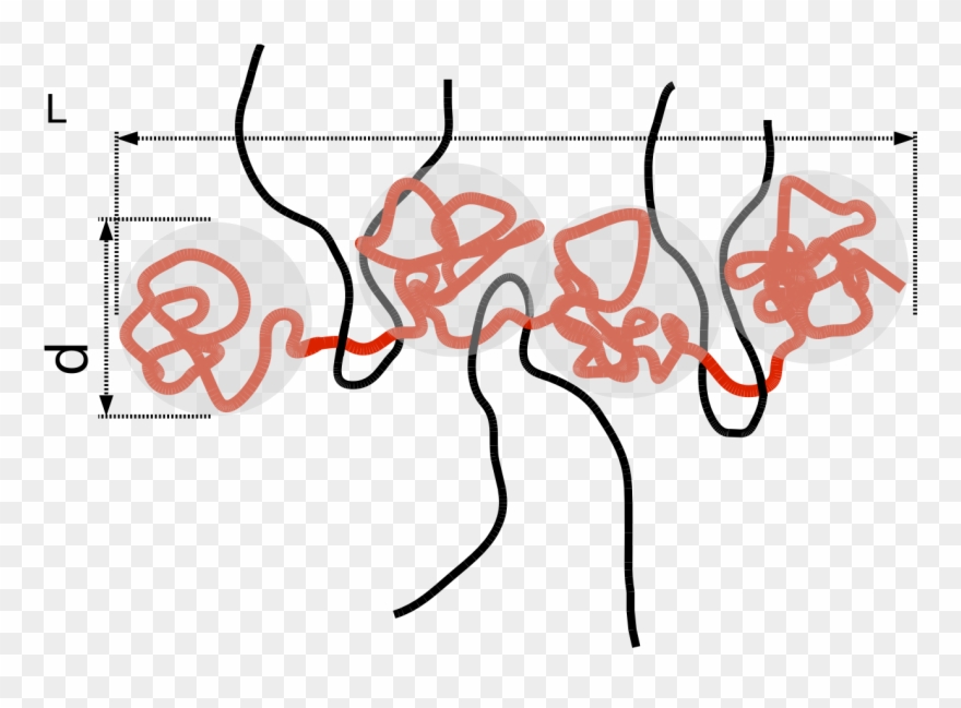 Reptation- Blob Model - Polymer Reptation Clipart