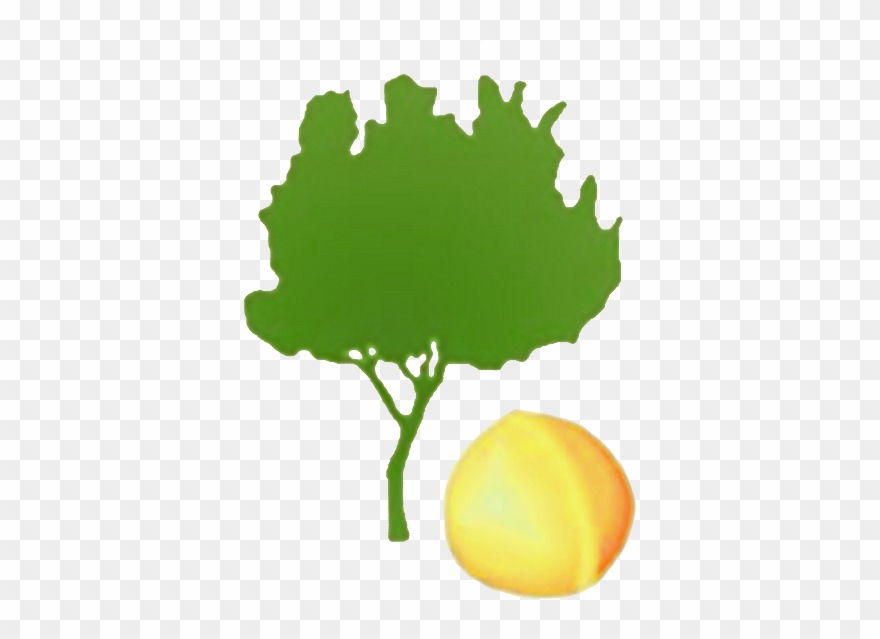 Building Smallholder Communities For Food Security - Tree Clipart