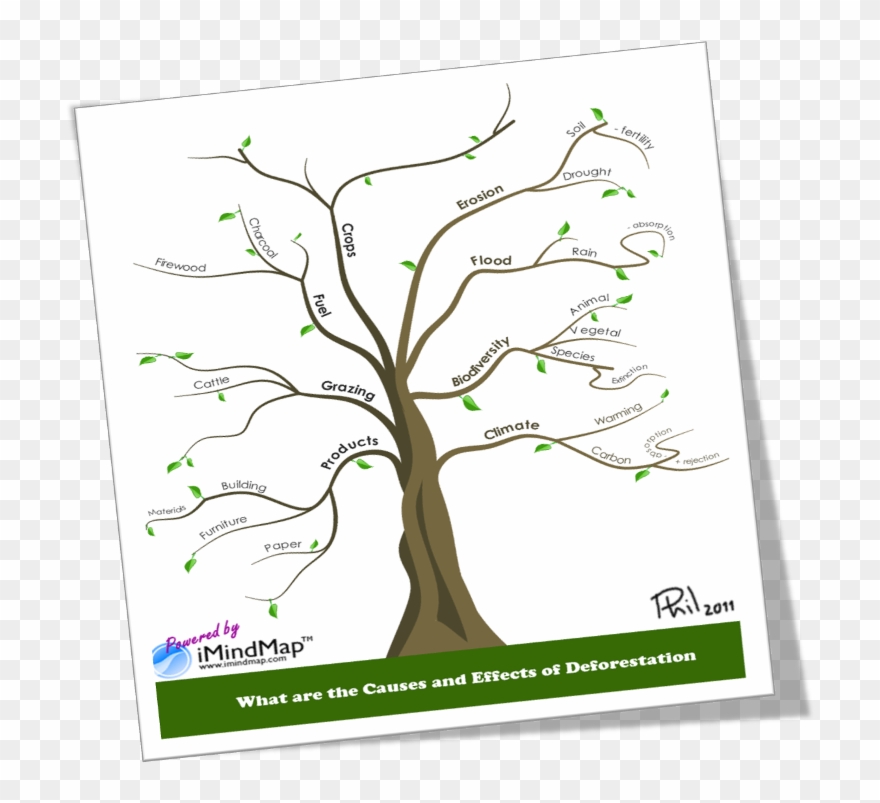Causes And Effects Of Deforestation Or How To Make - Deforestation Mind Map Tree Clipart