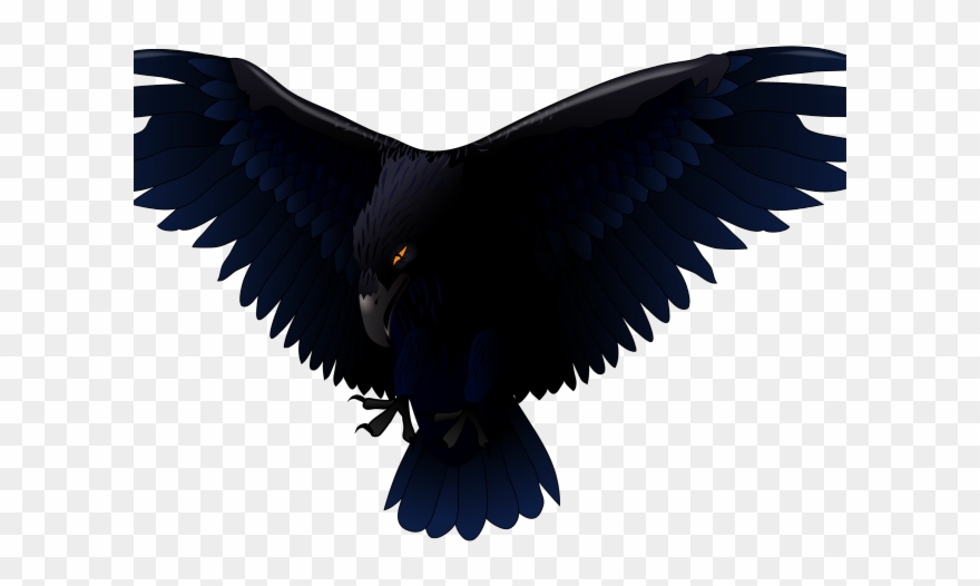 Bird Of Prey Clipart Transparent - Transparent Background Raven Png