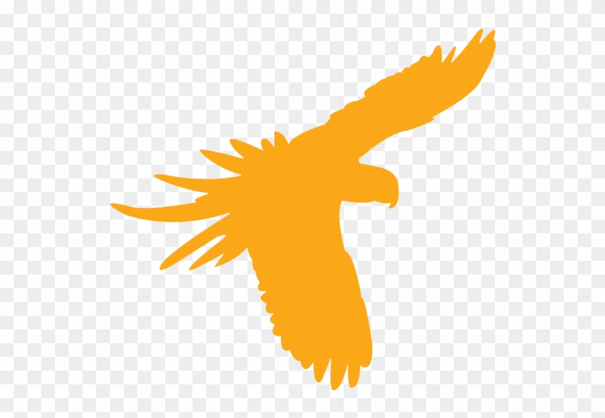 1 In 3 Species Are Under Threat Clipart