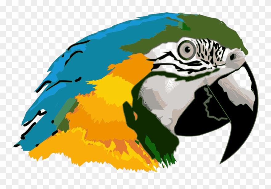 Clipart Of Ave And Png Do - Macaw Transparent Png
