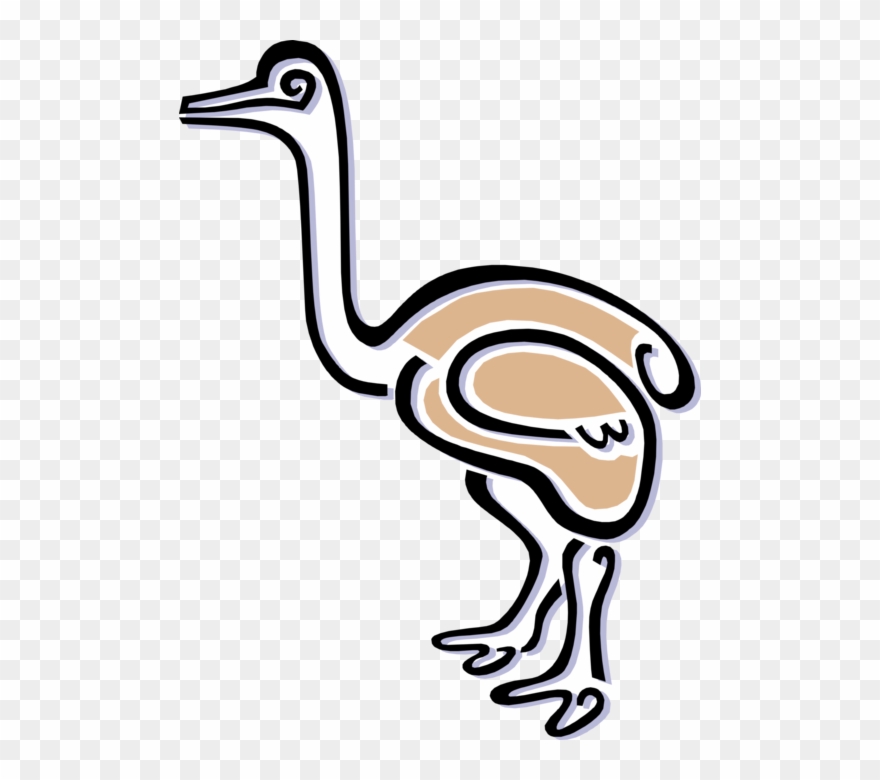 Vector Illustration Of Flightless African Ostrich Bird Clipart