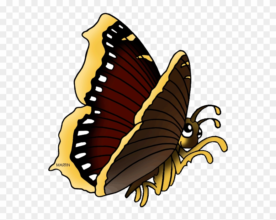 Montana Clipart Butterfly - Papilio - Png Download