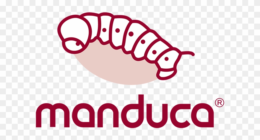 Today, Manduca Is The Leader In The Baby Carrier And - Manduca Baby Logo Clipart
