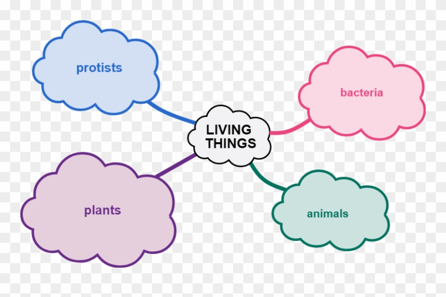 Visit - Mind Map For Weather Clipart