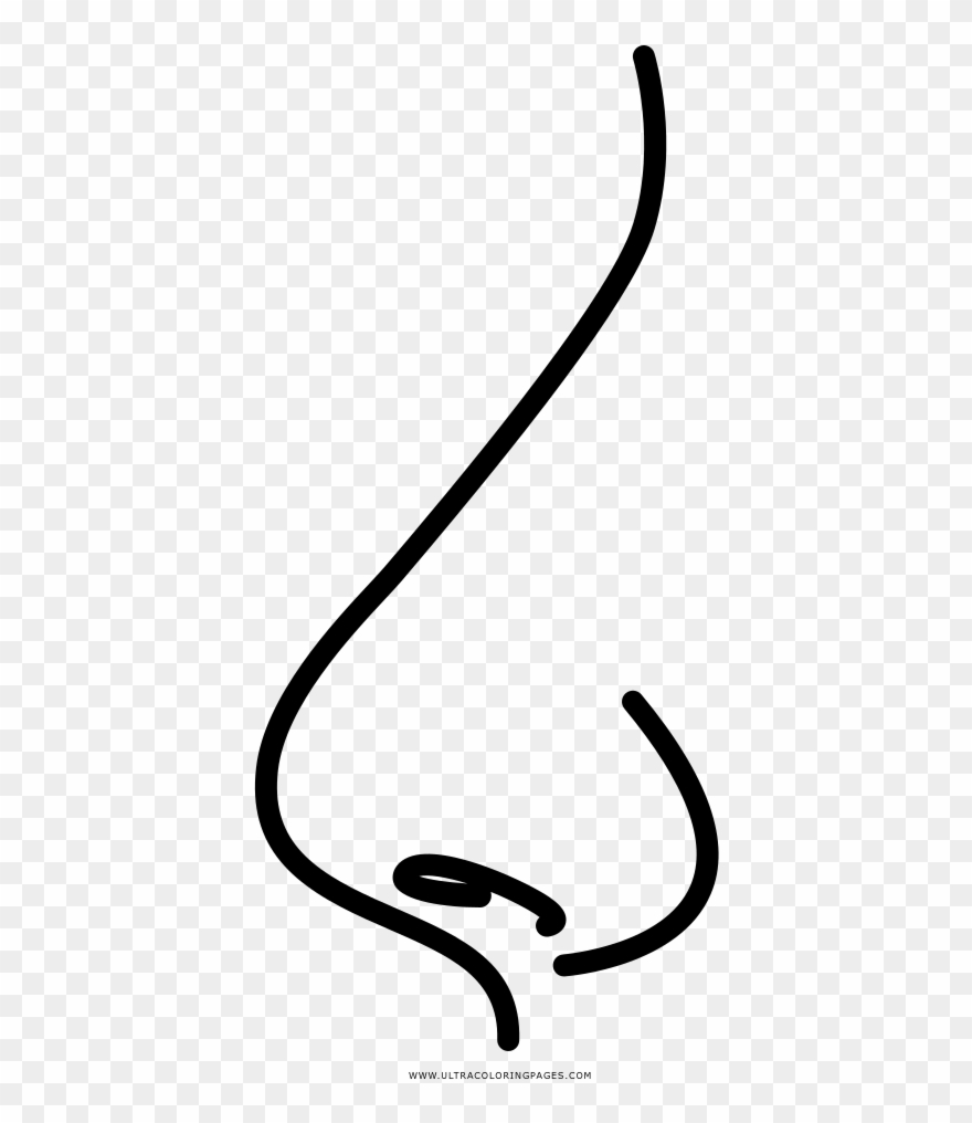 Nose Coloring Page - Calligraphy Clipart
