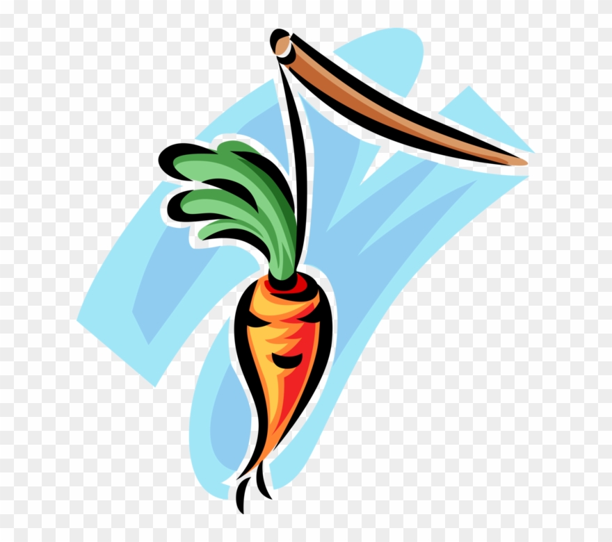 Vector Illustration Of Garden Vegetable Carrot Incentive Clipart