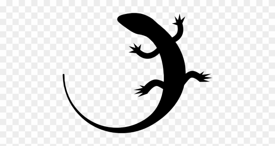 छिपोड़ - Skink Clipart