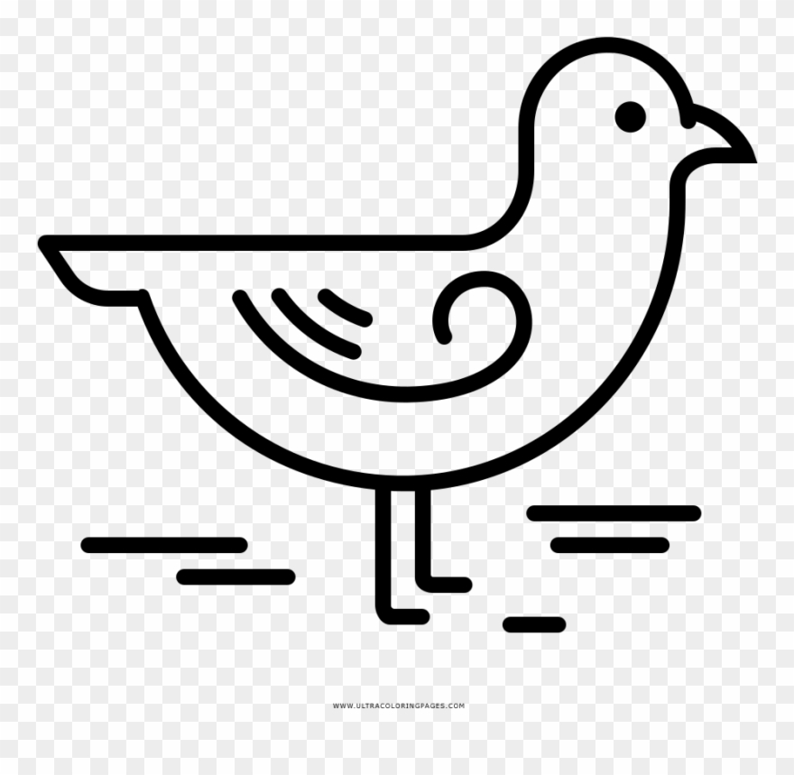 Seagull Coloring Page - Line Art Clipart
