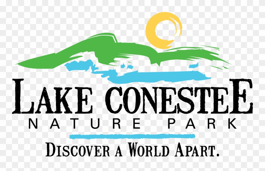 Gallery - Graphic Design Clipart