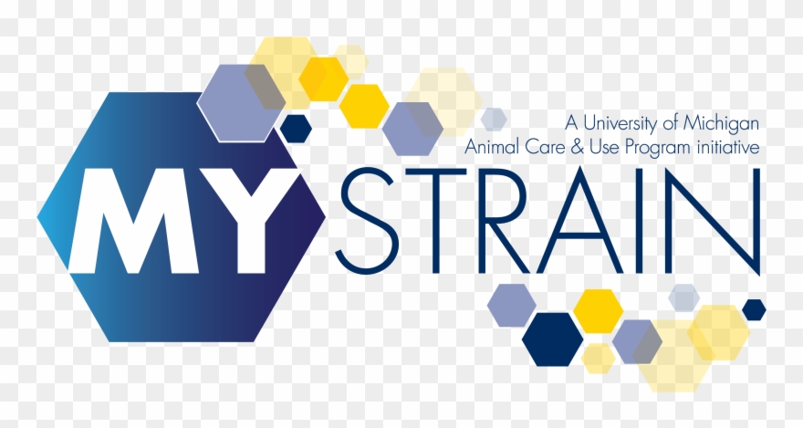 Did You Know That Even Minor Changes To A Mouse Strain - Petra Management Clipart