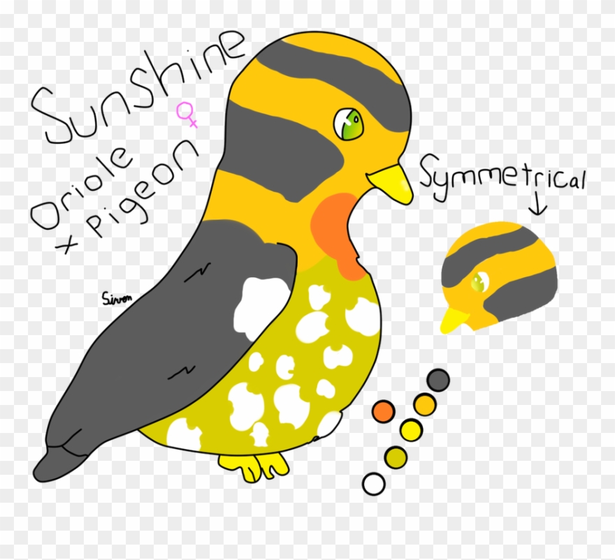 Picture - Duck Clipart