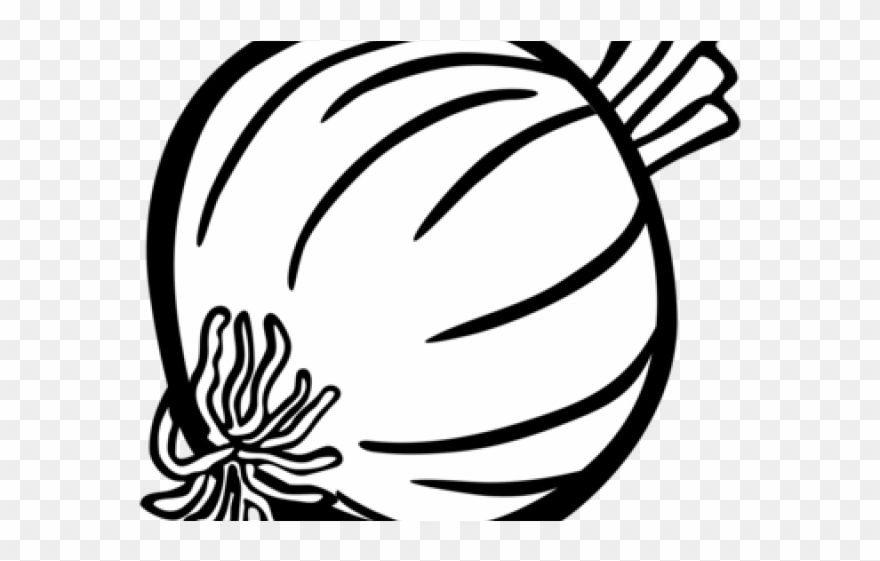 Download Drawn Onion White Png Onion Clip Art Black And White
