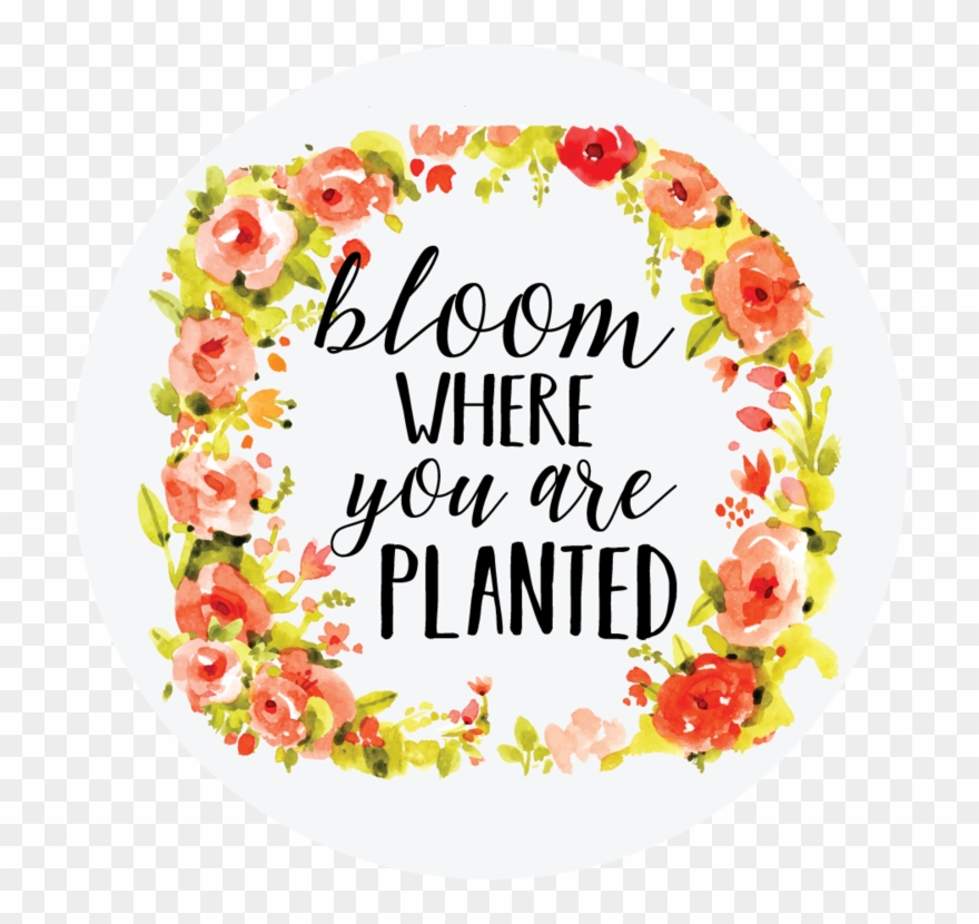 Bloom Where You Are Planted - Dia Das Maes Fundo Clipart